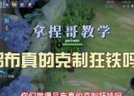 王者荣耀狂铁（狂铁连招技能使用方法）