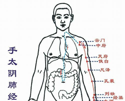 试作太阴技能及属性介绍？  第3张